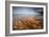 Grand Prismatic Spring - Midway Geyser Basin-David Osborn-Framed Photographic Print