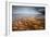 Grand Prismatic Spring - Midway Geyser Basin-David Osborn-Framed Photographic Print