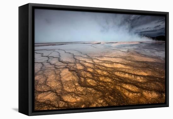 Grand Prismatic Spring - Midway Geyser Basin-David Osborn-Framed Premier Image Canvas