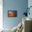 Grand Prismatic Spring - Midway Geyser Basin-David Osborn-Framed Premier Image Canvas displayed on a wall