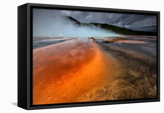 Grand Prismatic Spring - Midway Geyser Basin-David Osborn-Framed Premier Image Canvas