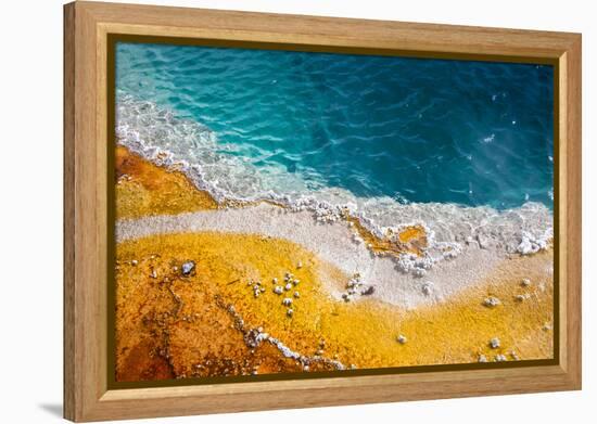 Grand Prismatic Spring, Yellowstone NP, Wyoming. Thermal Pool-Janet Muir-Framed Premier Image Canvas