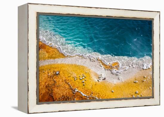Grand Prismatic Spring, Yellowstone NP, Wyoming. Thermal Pool-Janet Muir-Framed Premier Image Canvas