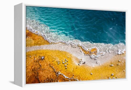 Grand Prismatic Spring, Yellowstone NP, Wyoming. Thermal Pool-Janet Muir-Framed Premier Image Canvas