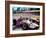 Grand Prix, Eva Marie Saint, James Garner, 1966.-null-Framed Photo