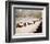 Grand Prix-null-Framed Photo