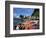 Grand Riviere Fishing Village, Island of Martinique, Lesser Antilles, French West Indies, Caribbean-Yadid Levy-Framed Photographic Print