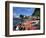 Grand Riviere Fishing Village, Island of Martinique, Lesser Antilles, French West Indies, Caribbean-Yadid Levy-Framed Photographic Print