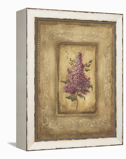 Grand Savin Lilac-Kimberly Poloson-Framed Stretched Canvas