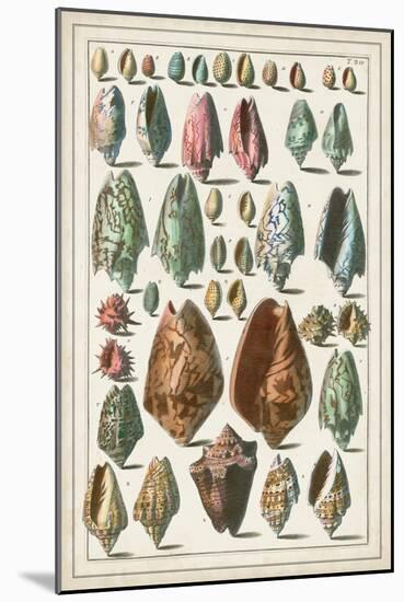 Grand Seba Shells I-Albertus Seba-Mounted Art Print