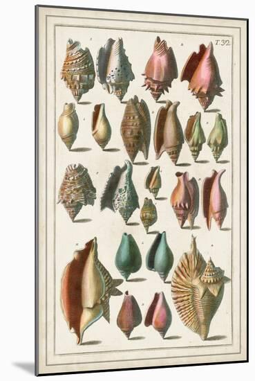 Grand Seba Shells III-Albertus Seba-Mounted Art Print