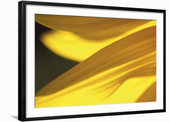 Grand-Soleil-Gaetan Caron-Framed Giclee Print