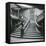 Grand Staircase of the Titanic-Science Source-Framed Premier Image Canvas