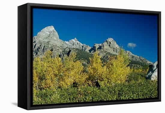 Grand Teton 10-Gordon Semmens-Framed Premier Image Canvas