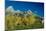 Grand Teton 10-Gordon Semmens-Mounted Photographic Print