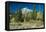 Grand Teton 11-Gordon Semmens-Framed Premier Image Canvas