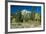 Grand Teton 11-Gordon Semmens-Framed Photographic Print