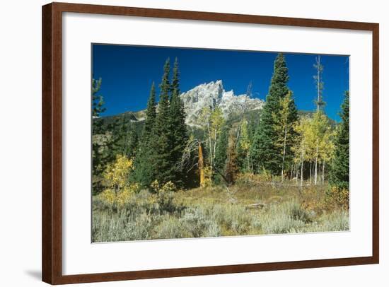 Grand Teton 11-Gordon Semmens-Framed Photographic Print
