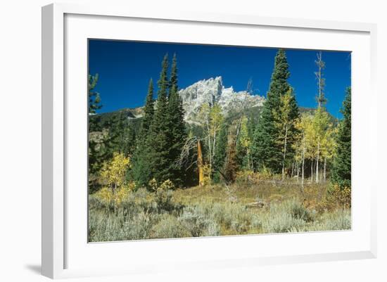 Grand Teton 11-Gordon Semmens-Framed Photographic Print