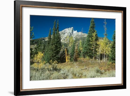 Grand Teton 11-Gordon Semmens-Framed Photographic Print