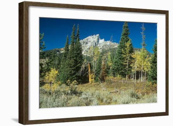 Grand Teton 11-Gordon Semmens-Framed Photographic Print