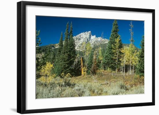 Grand Teton 11-Gordon Semmens-Framed Photographic Print