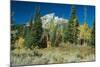 Grand Teton 11-Gordon Semmens-Mounted Photographic Print