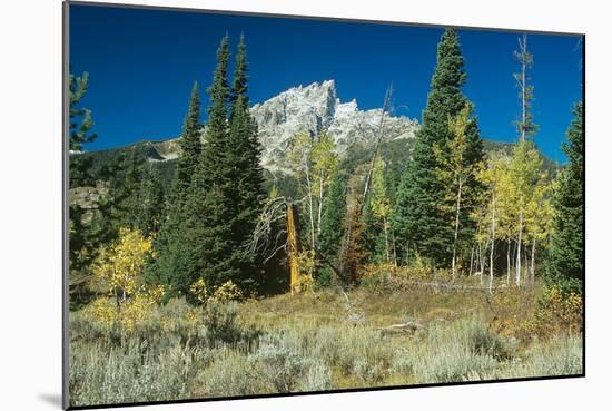 Grand Teton 11-Gordon Semmens-Mounted Photographic Print