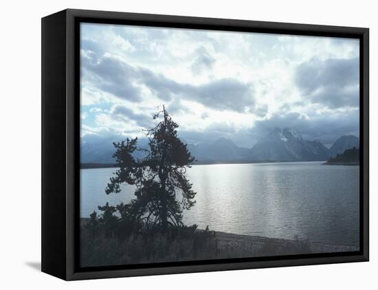 Grand Teton 16-Gordon Semmens-Framed Premier Image Canvas