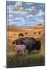 Grand Teton National Park - Buffalo and Calf-Lantern Press-Mounted Art Print