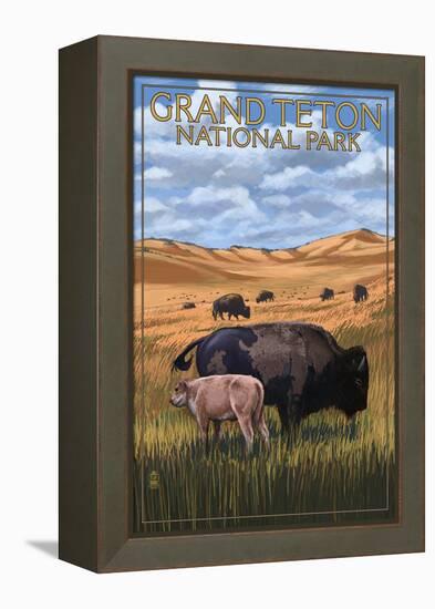 Grand Teton National Park - Buffalo and Calf-Lantern Press-Framed Stretched Canvas