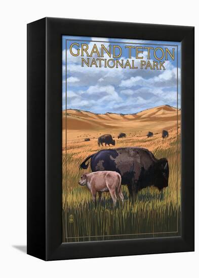 Grand Teton National Park - Buffalo and Calf-Lantern Press-Framed Stretched Canvas