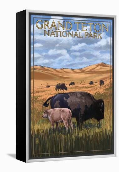 Grand Teton National Park - Buffalo and Calf-Lantern Press-Framed Stretched Canvas