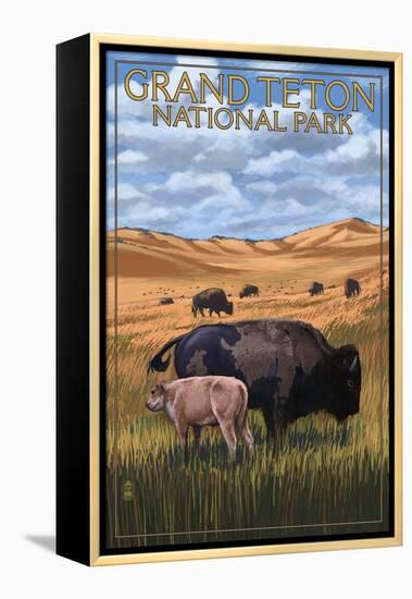 Grand Teton National Park - Buffalo and Calf-Lantern Press-Framed Stretched Canvas