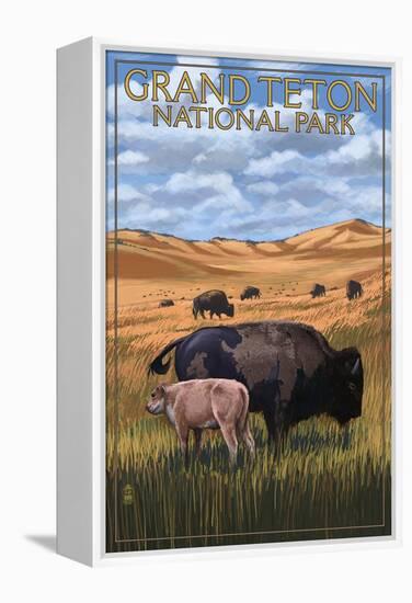 Grand Teton National Park - Buffalo and Calf-Lantern Press-Framed Stretched Canvas