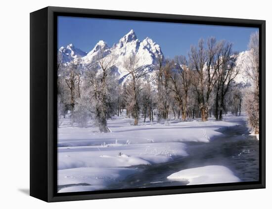 Grand Teton National Park Covered in Snow, Wyoming, USA-Scott T. Smith-Framed Premier Image Canvas