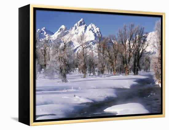 Grand Teton National Park Covered in Snow, Wyoming, USA-Scott T. Smith-Framed Premier Image Canvas