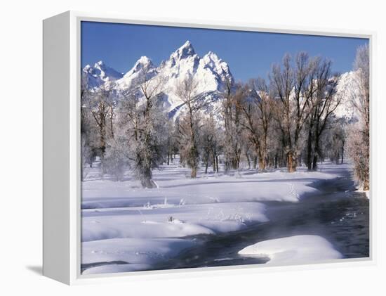 Grand Teton National Park Covered in Snow, Wyoming, USA-Scott T. Smith-Framed Premier Image Canvas