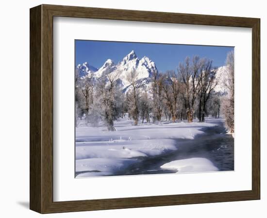 Grand Teton National Park Covered in Snow, Wyoming, USA-Scott T. Smith-Framed Photographic Print