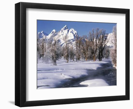 Grand Teton National Park Covered in Snow, Wyoming, USA-Scott T. Smith-Framed Photographic Print