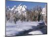 Grand Teton National Park Covered in Snow, Wyoming, USA-Scott T. Smith-Mounted Photographic Print