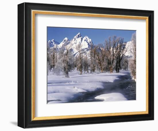 Grand Teton National Park Covered in Snow, Wyoming, USA-Scott T. Smith-Framed Photographic Print