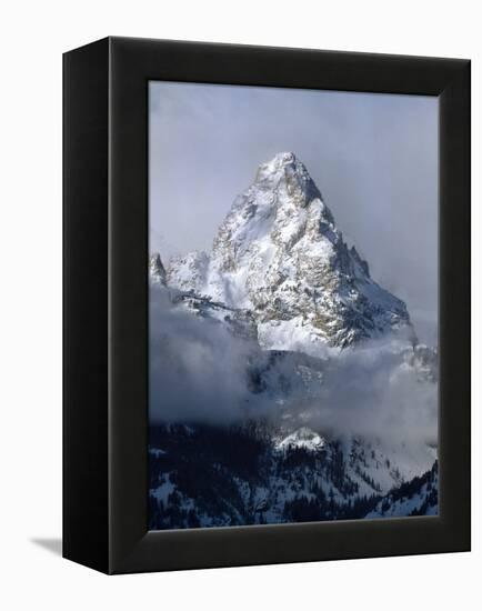 Grand Teton National Park IV-Ike Leahy-Framed Premier Image Canvas