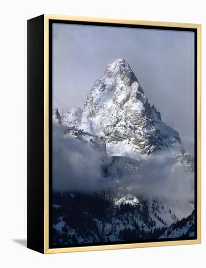 Grand Teton National Park IV-Ike Leahy-Framed Premier Image Canvas