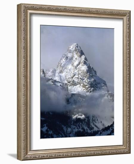 Grand Teton National Park IV-Ike Leahy-Framed Photographic Print