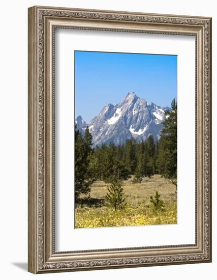 Grand Teton National Park, Teton County, Wyoming, Usa-John Warburton-lee-Framed Photographic Print