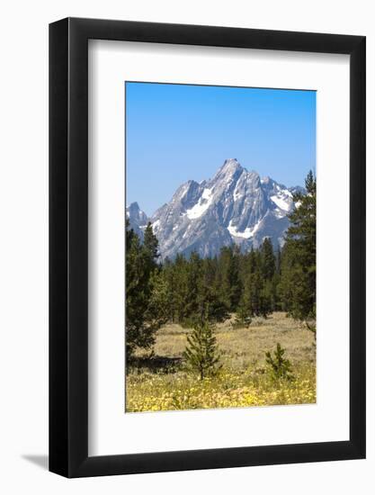 Grand Teton National Park, Teton County, Wyoming, Usa-John Warburton-lee-Framed Photographic Print