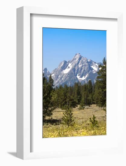 Grand Teton National Park, Teton County, Wyoming, Usa-John Warburton-lee-Framed Photographic Print