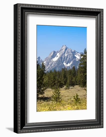 Grand Teton National Park, Teton County, Wyoming, Usa-John Warburton-lee-Framed Photographic Print