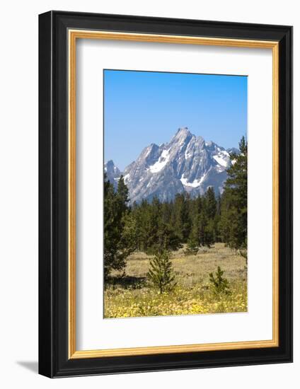 Grand Teton National Park, Teton County, Wyoming, Usa-John Warburton-lee-Framed Photographic Print